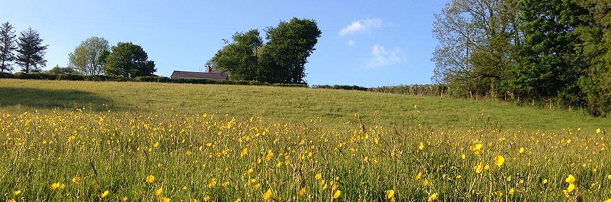 Safe Room Studio, Recording Studio, Carmarthenshire, Wales